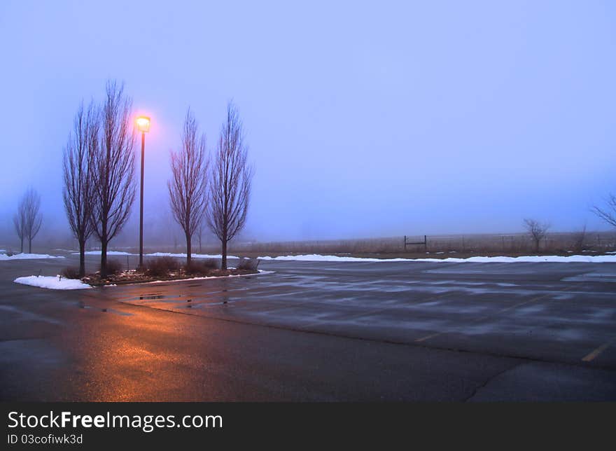 Misty morning