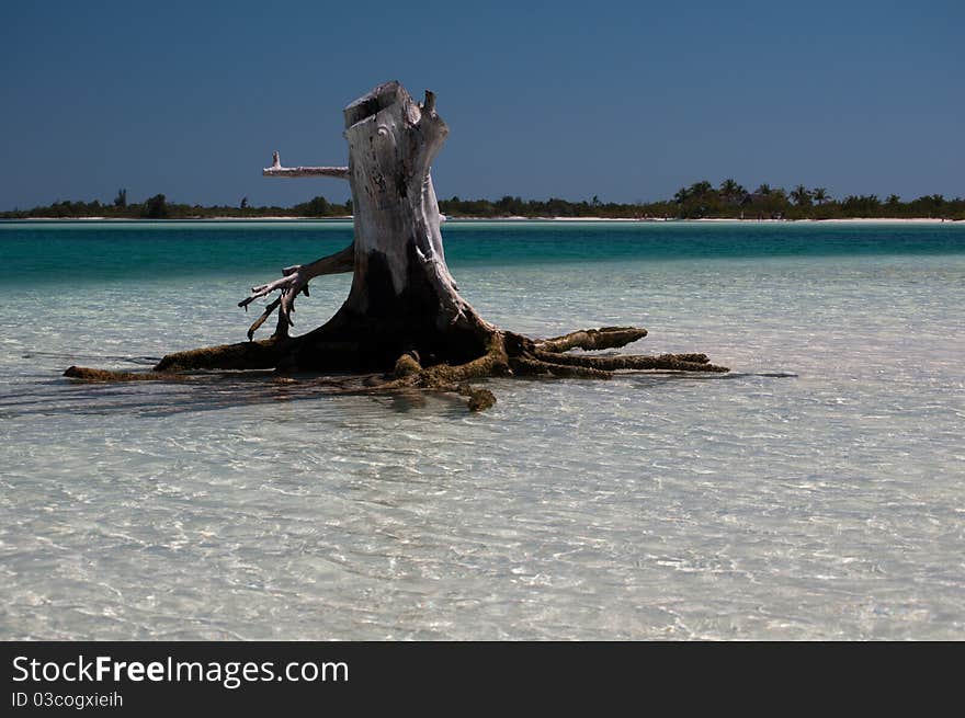 Cuba, tropical beach