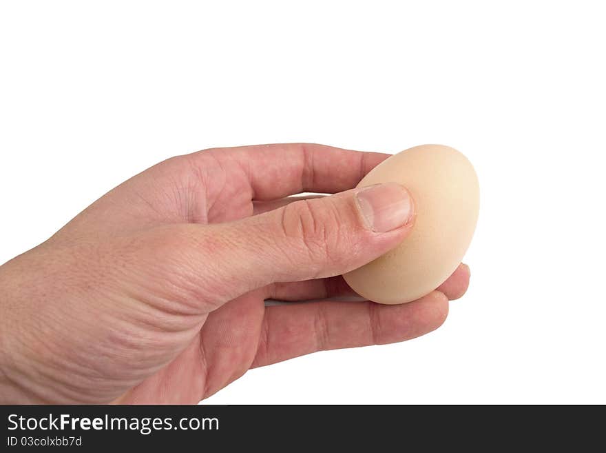 Hand Holding An Egg