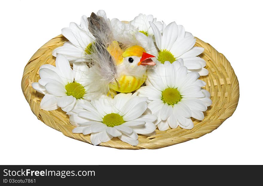 Chicken in a nest with flowers