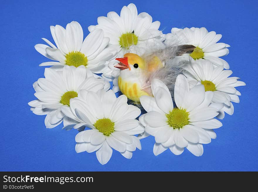 Chicken  with flowers