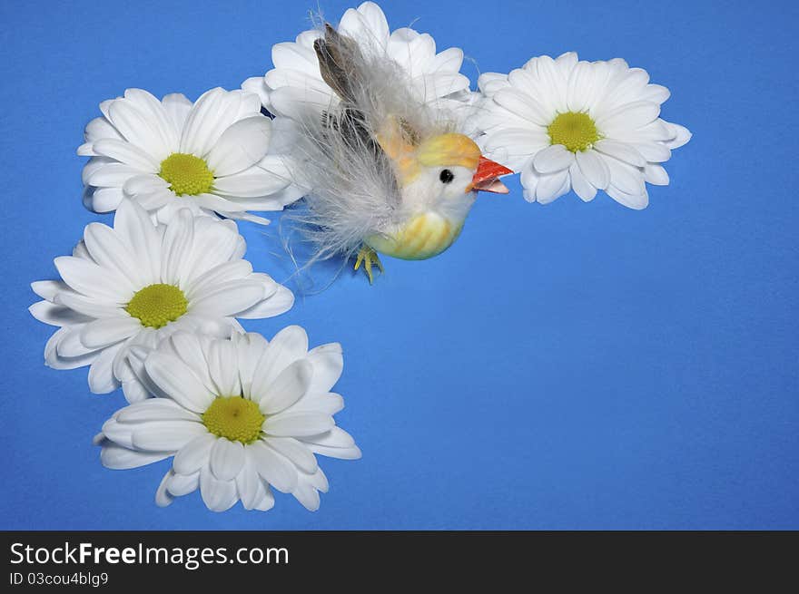 Chicken  with flowers