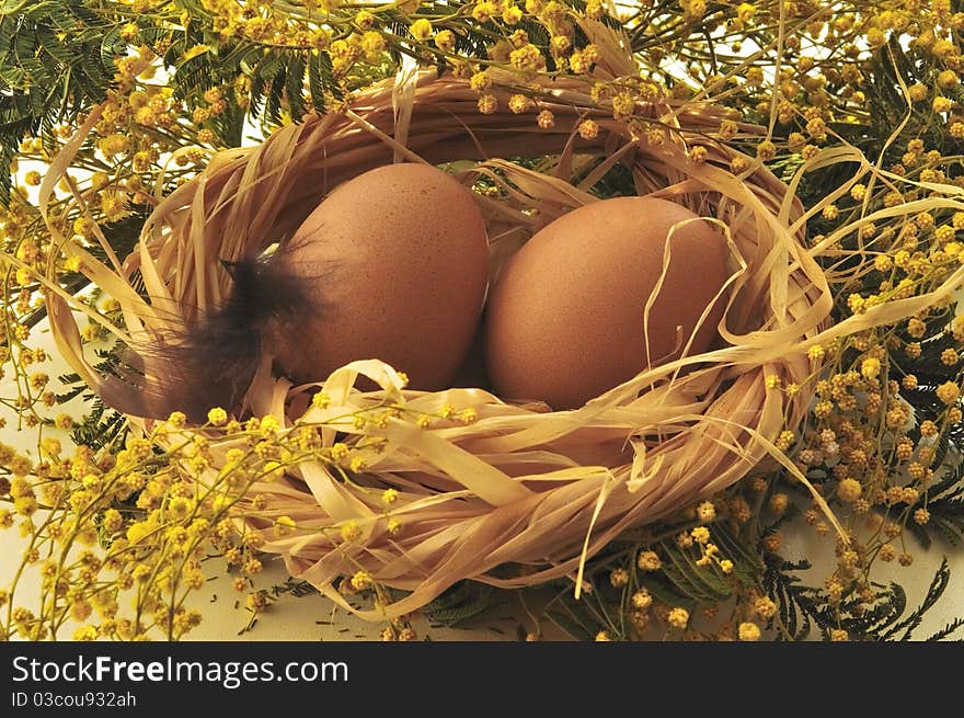 Easter eggs in a nest with  flowers