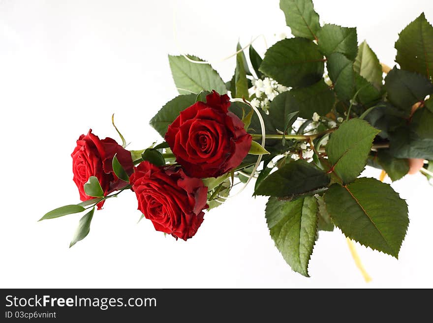 Rose Bouquet On White Background.