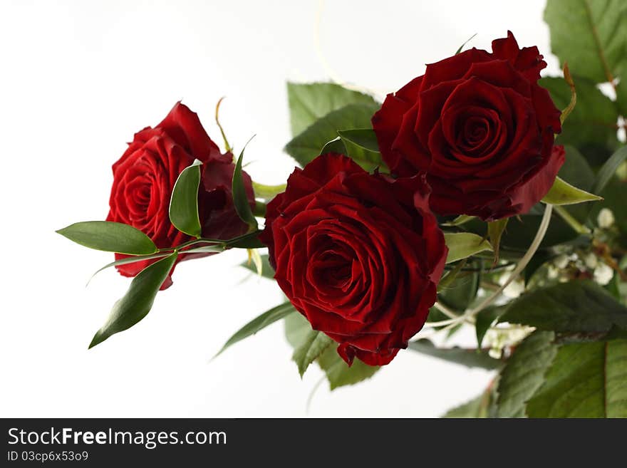 Bouquet of three red roses on white background. Bouquet of three red roses on white background.