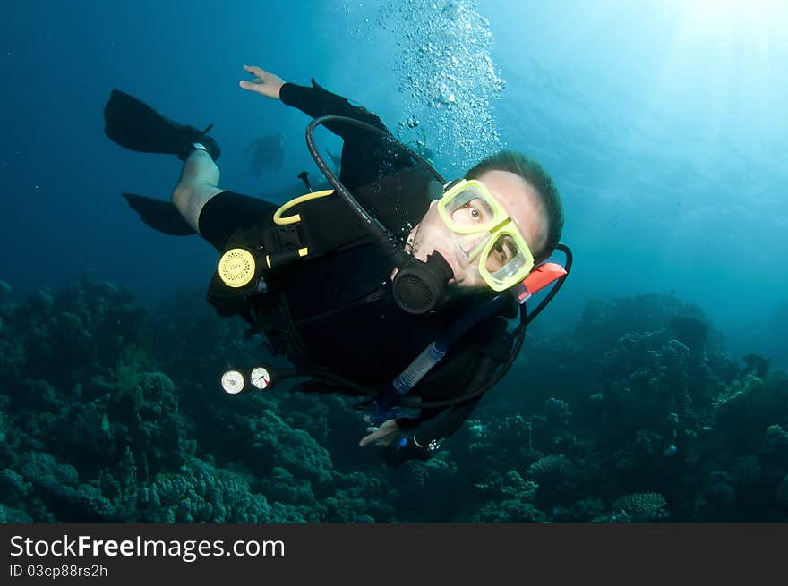 Scuba divers exsplore coral reef in the red sea