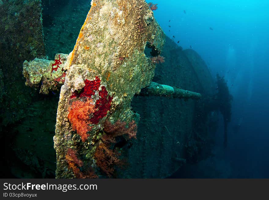 SS Thistlegorm battle gun