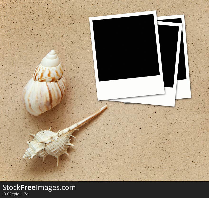 Blank Photos with sea shells on sand background