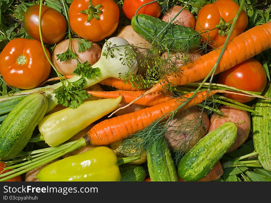 A close up of the fresh vegetables. A close up of the fresh vegetables.