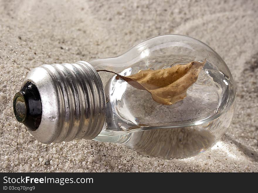 Dry brown leaf in a light bulb on sand. Dry brown leaf in a light bulb on sand.