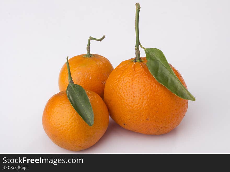 Orange Tangerines