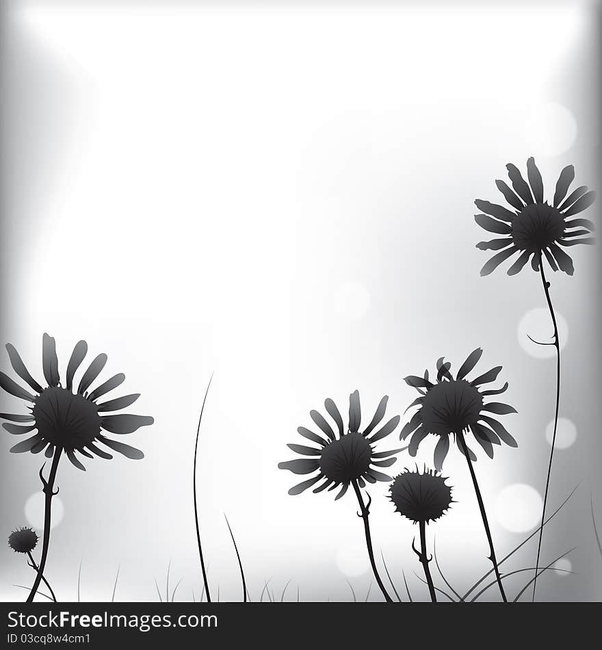 Floral background camomile flower. Vector illustration. Floral background camomile flower. Vector illustration.