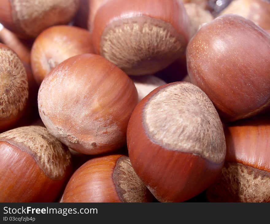 Close-up of hazel nuts