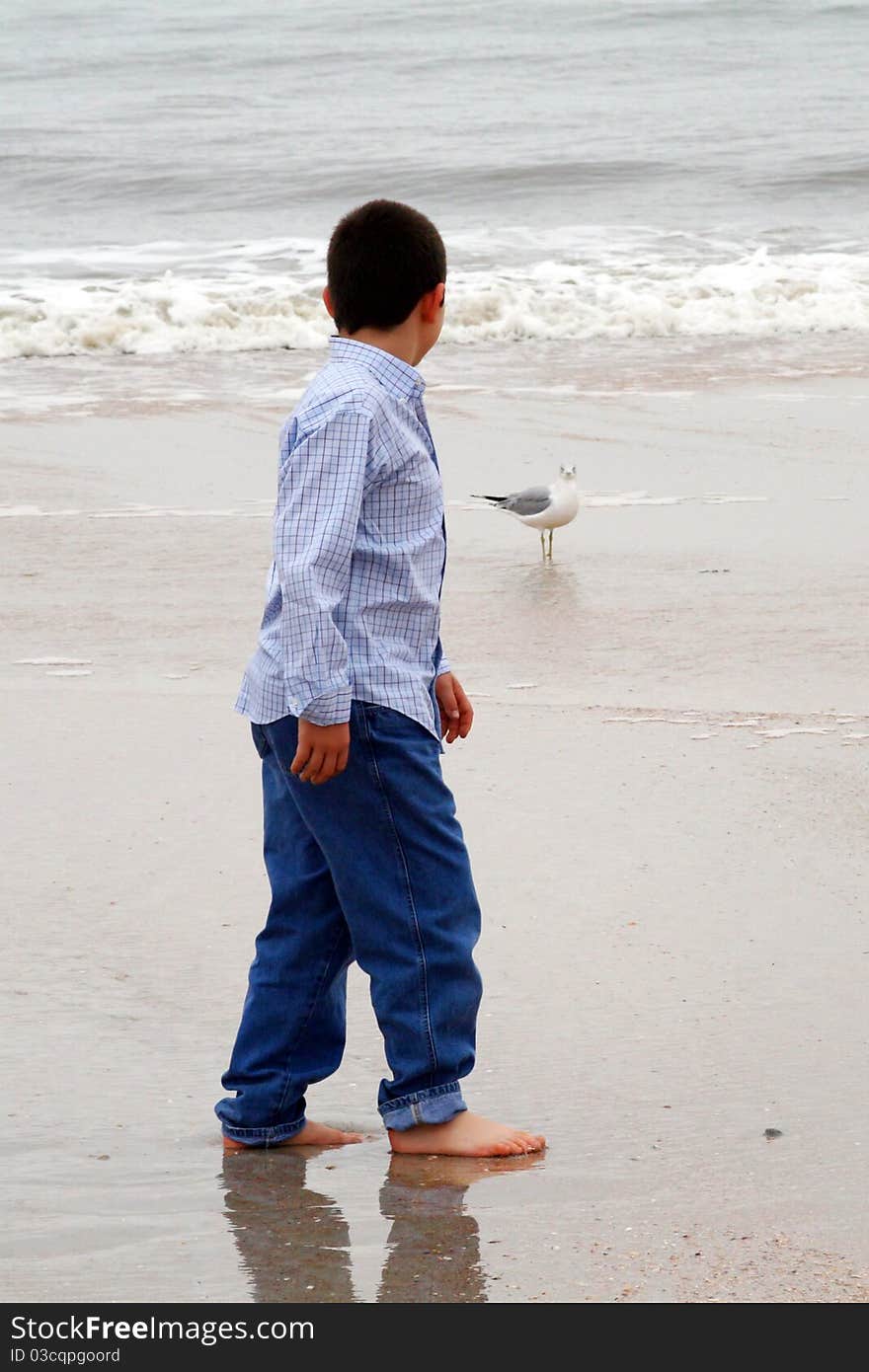 Boy on beach with Seagull