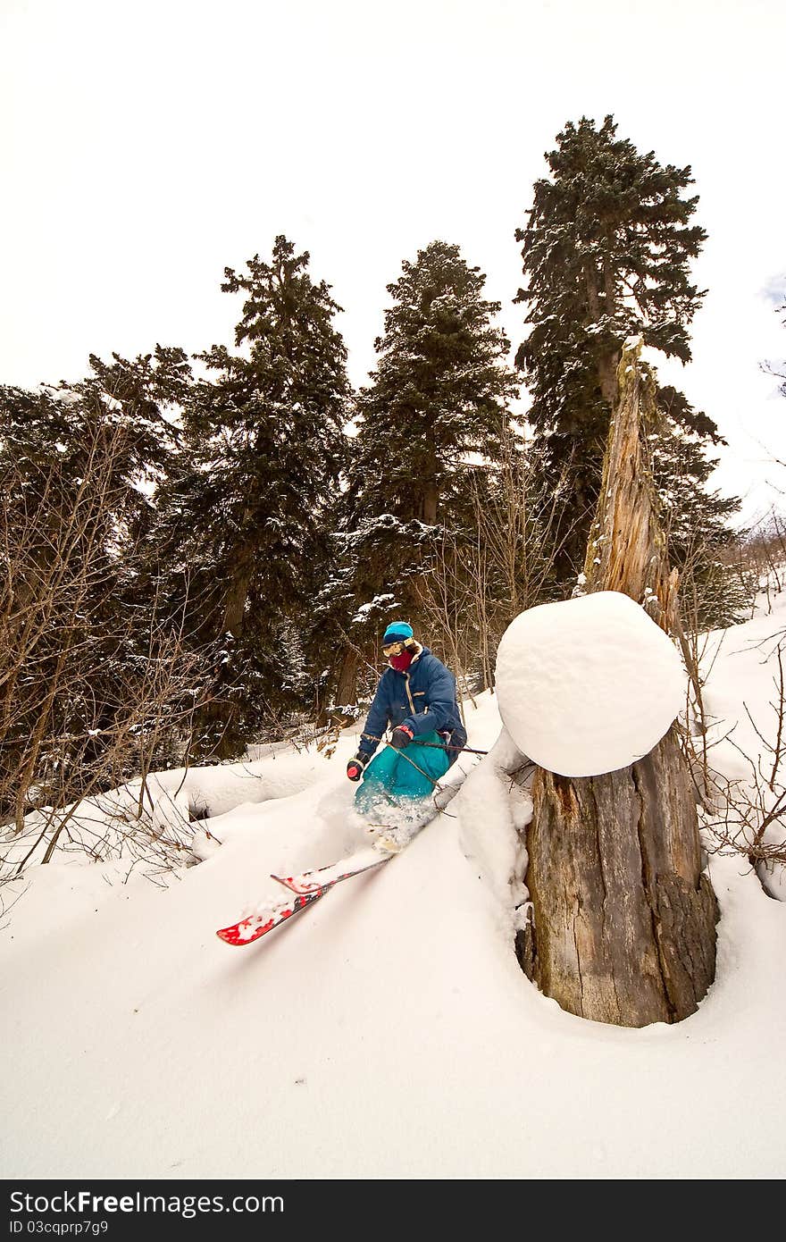 Freerider in the forest