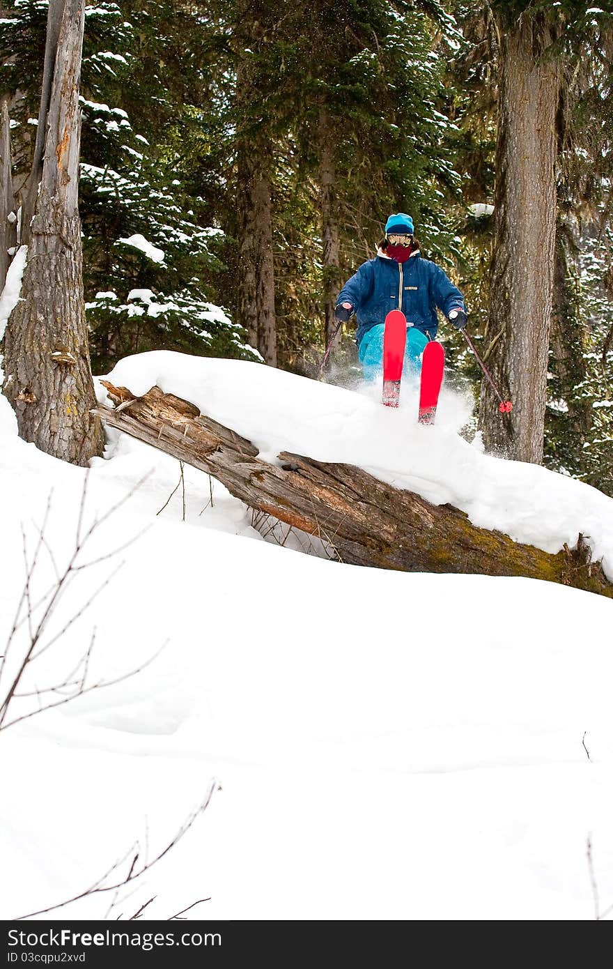 Freerider in the forest