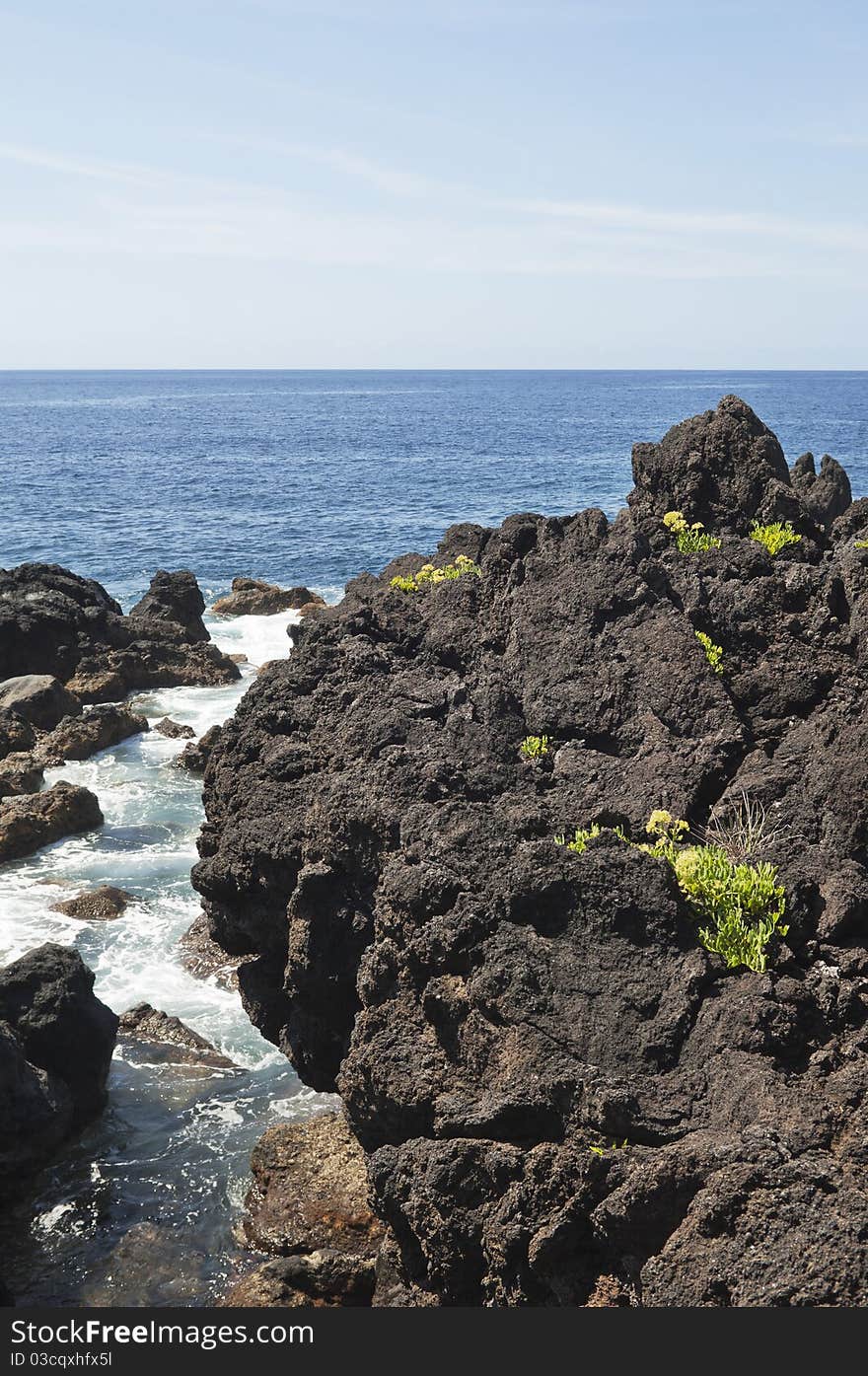 Volcanic rock in Pico island costline, Azores