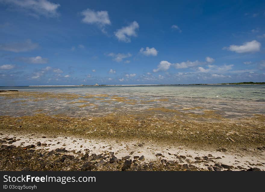 South China sea beach color