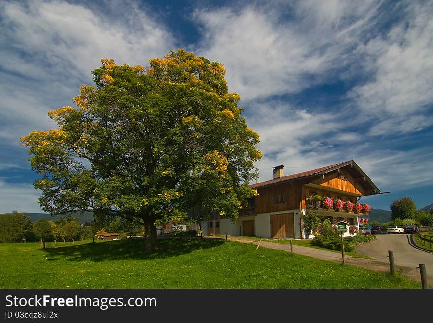 The house in the Bavarian village with the big oak and colors on a facade. The house in the Bavarian village with the big oak and colors on a facade