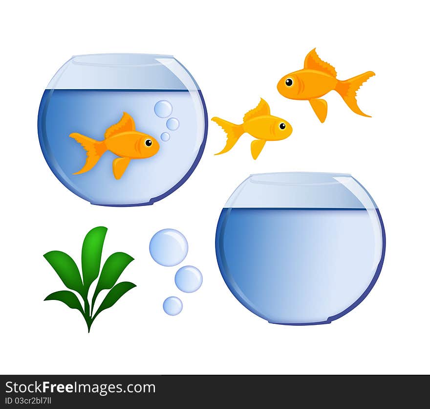 Gold Fish and Fish Bowl