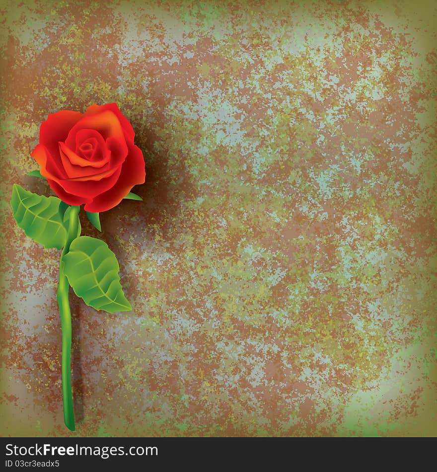 Abstract Floral Illustration With Red Rose