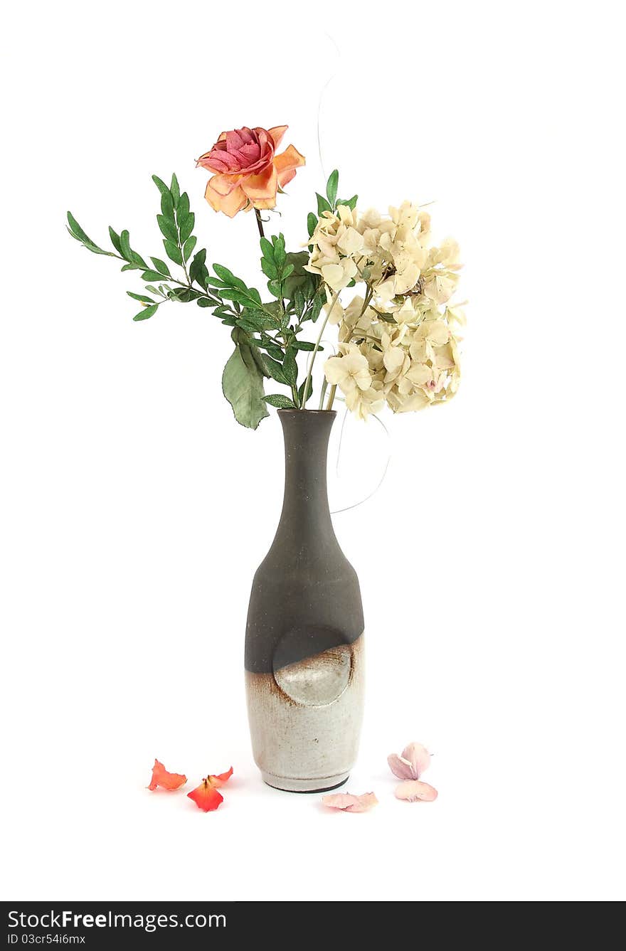 Dried green hortensia and rose in vase on white background