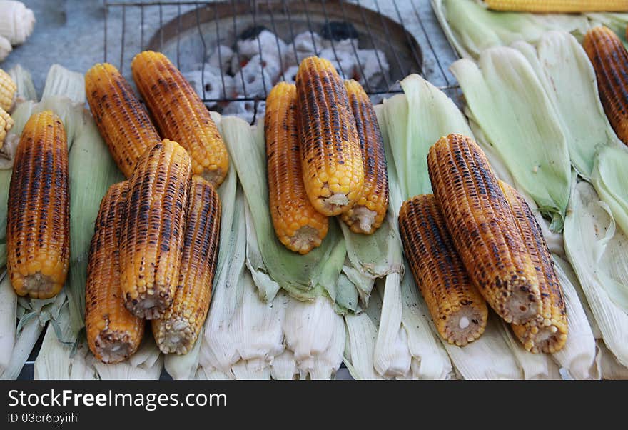 Roasted Corn.