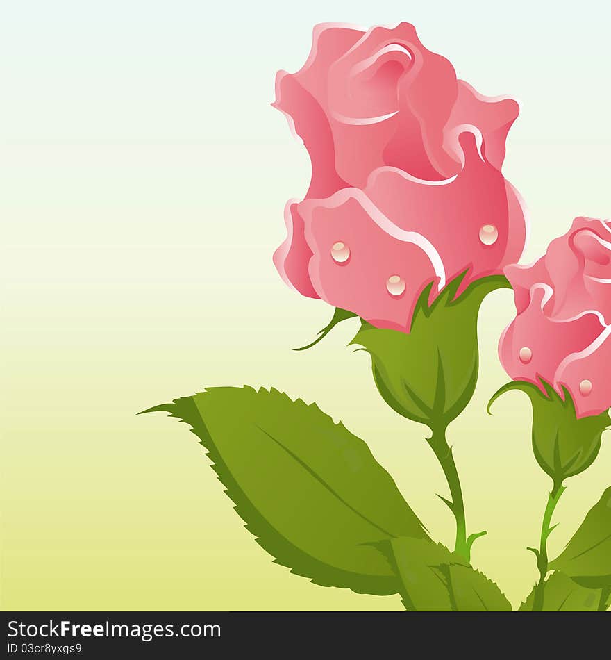 Beautiful roses with leaves over natural background. Beautiful roses with leaves over natural background