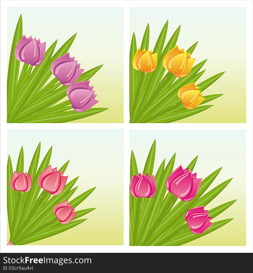 Set of 4 colorful tulips backgrounds