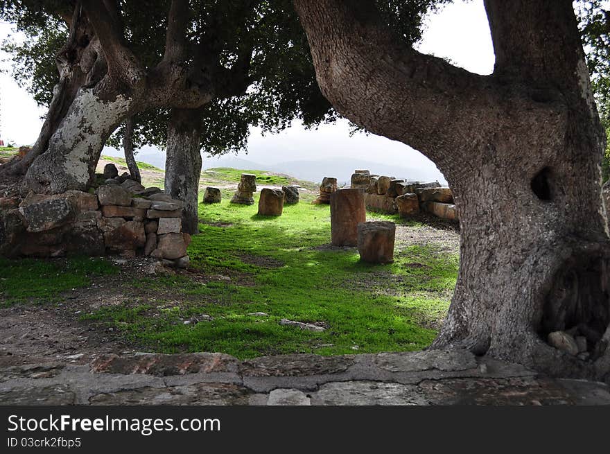 Park in a historical site in Jordan. Park in a historical site in Jordan