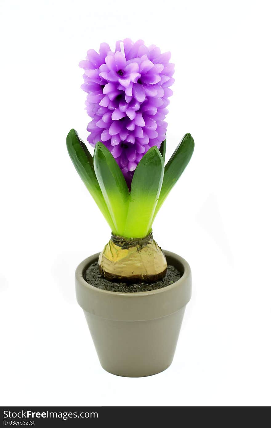 Flower candle in a pot isolated on white background