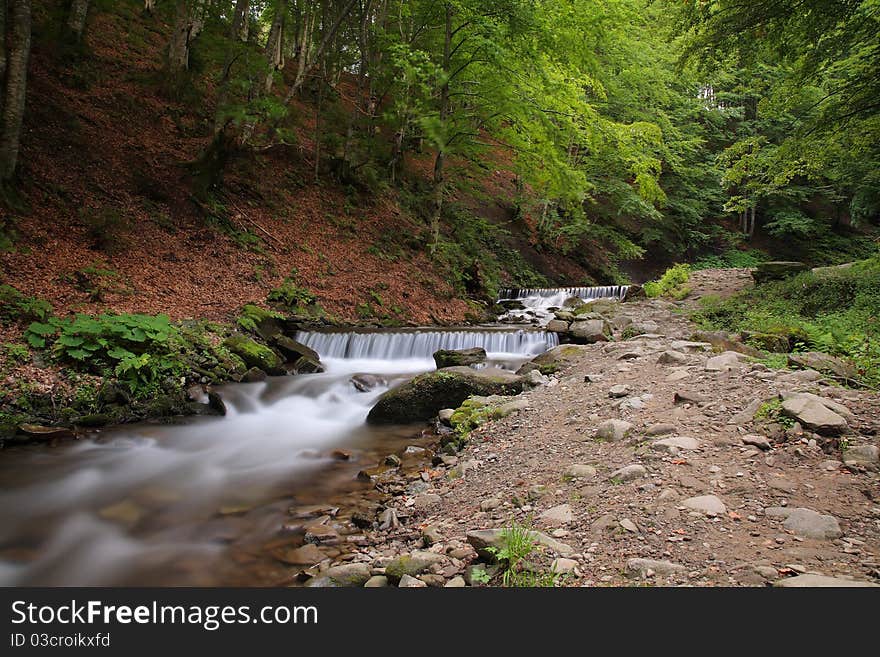 The beautiful mountain river among green wood.