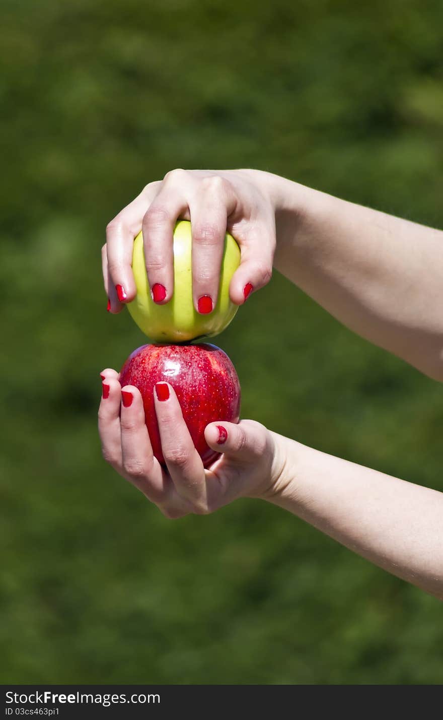 Two human hands holding different apples with amazing colors. Two human hands holding different apples with amazing colors