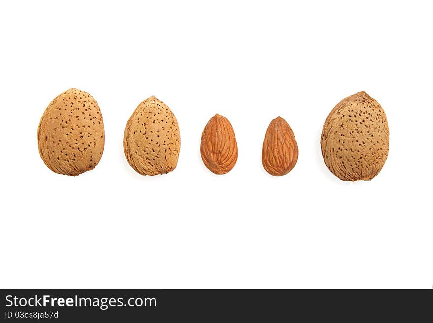 Five fresh almonds