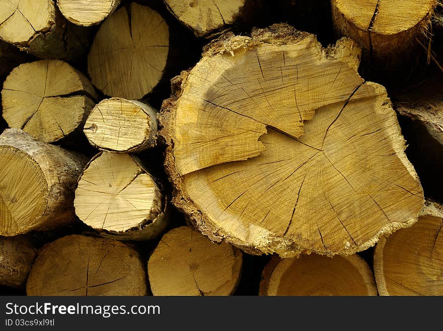 Timber, logs, firewood