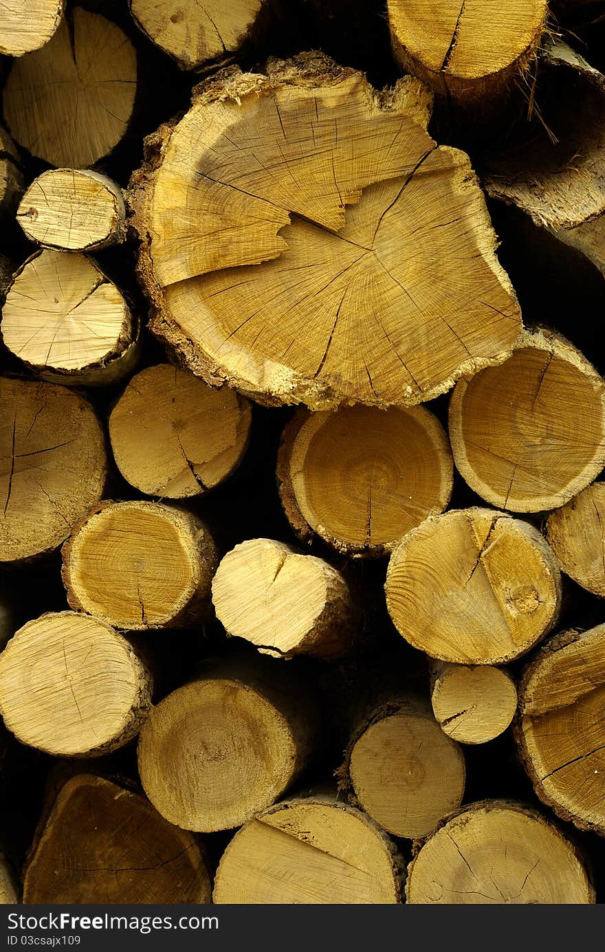 Timber, Logs, Firewood