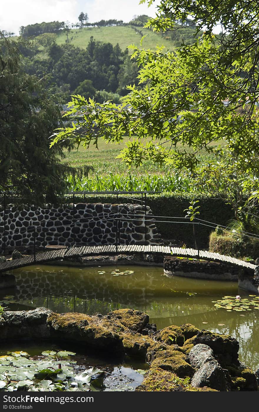 Footbridge over a small lake in a garden. Footbridge over a small lake in a garden