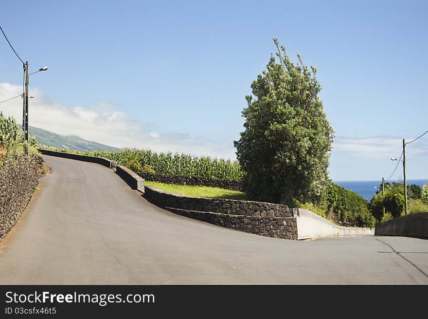 Country road in Pico island, Azores