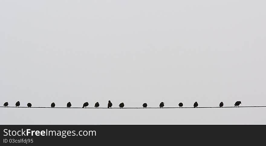 A minimalist photograph with a rhythm produced by birds sitting on a single wire. A minimalist photograph with a rhythm produced by birds sitting on a single wire.