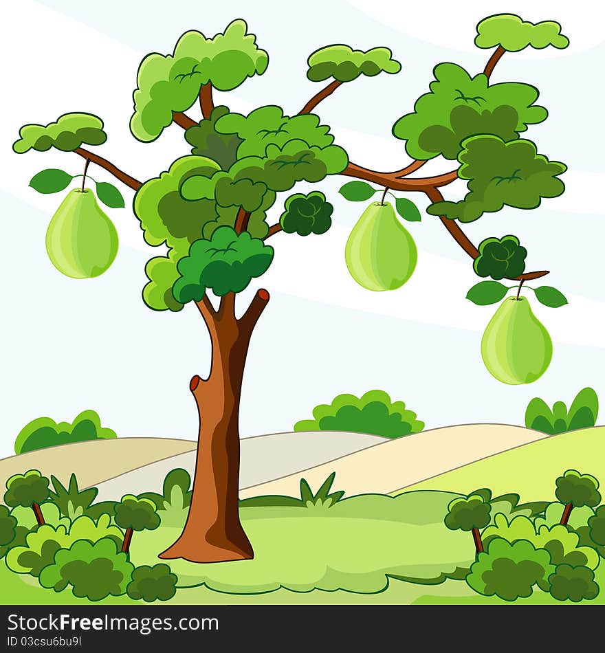 Illustration of tree with green pears. Illustration of tree with green pears