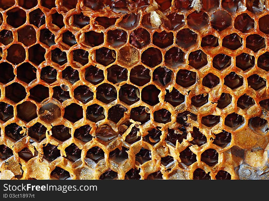 Natural Honeycombs for use as background.