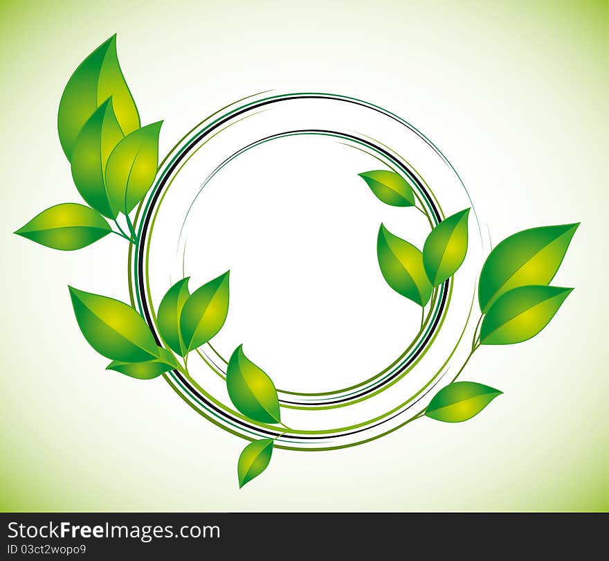 Green leaves on a white background