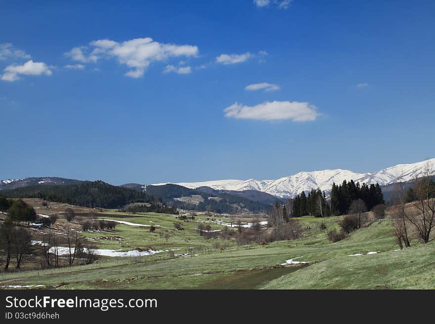 Snow landscape