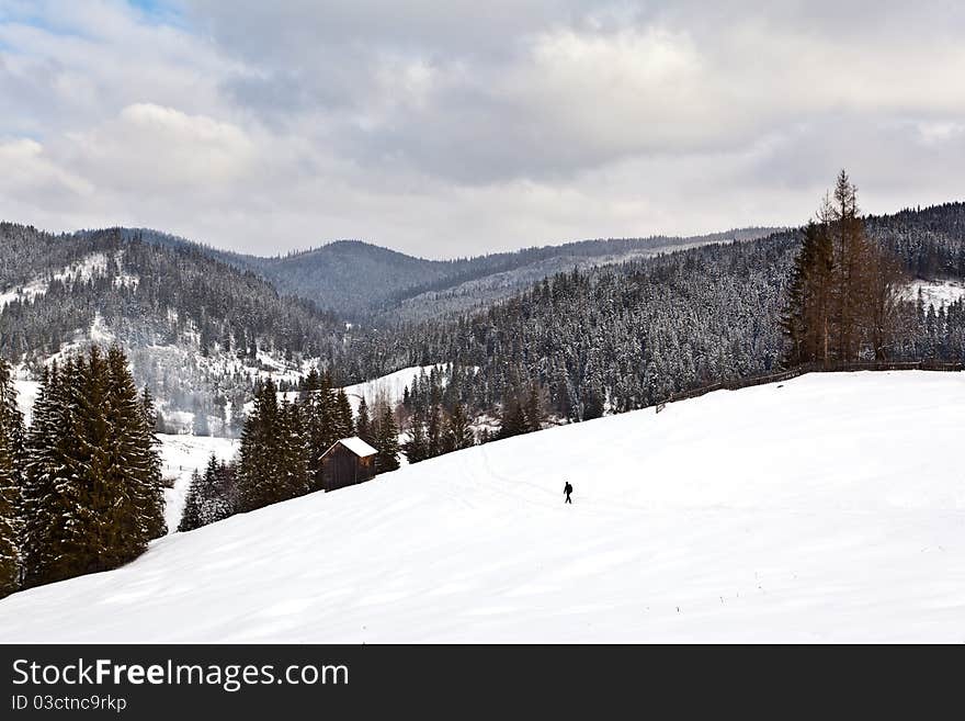 Winter Landscape From Bukovina