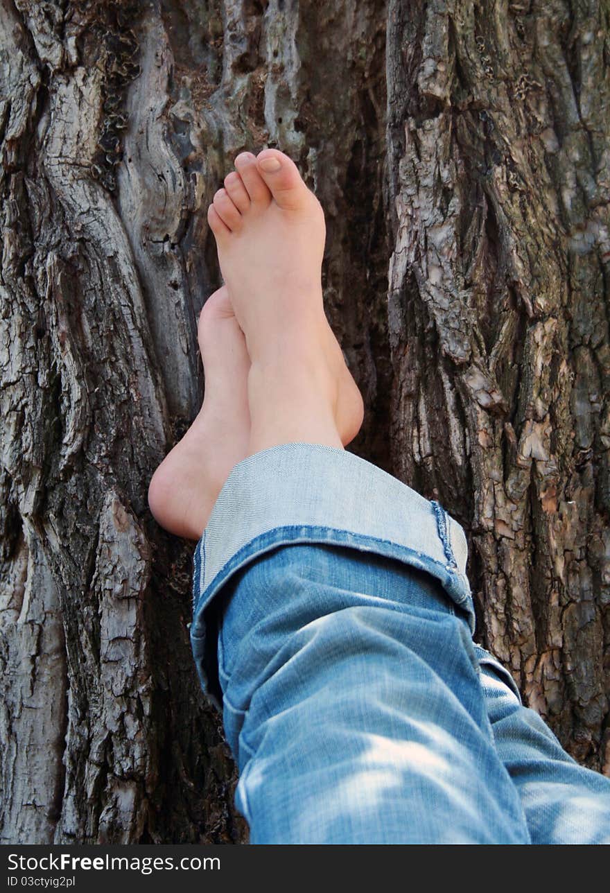 Young women legs on bark of a tree. Young women legs on bark of a tree