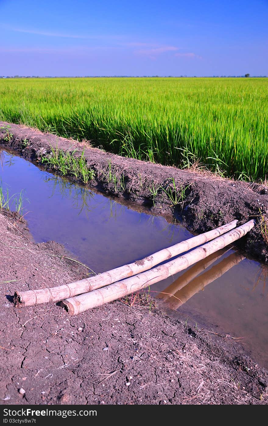 Bridge over the moat in the field.Thailand