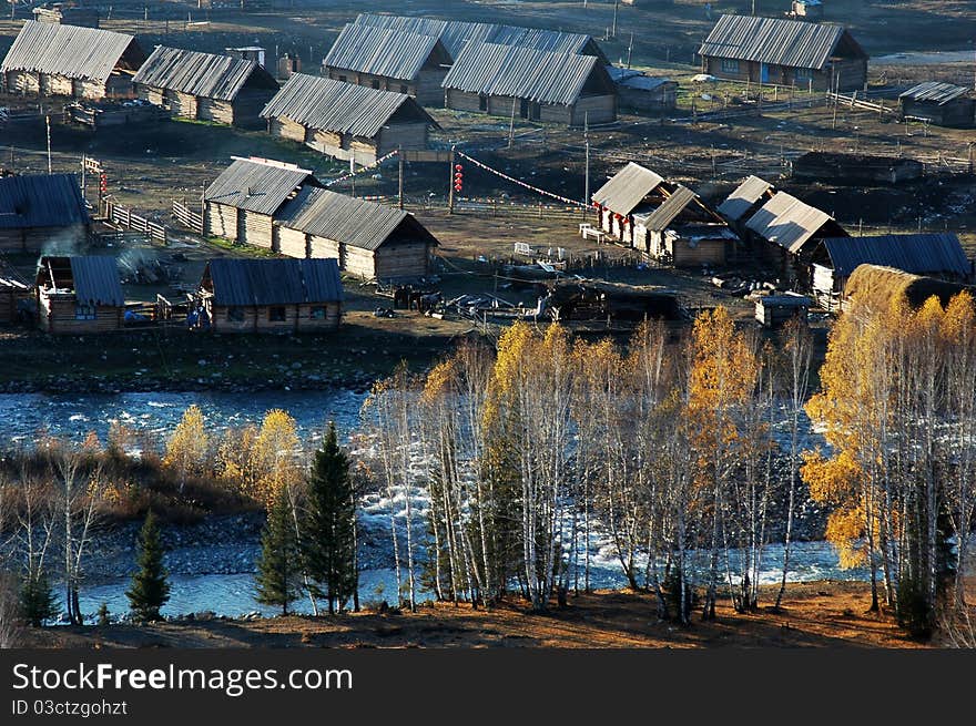 Golden trees,brook and village in Sinkiang, China,in an early autumn morning. Golden trees,brook and village in Sinkiang, China,in an early autumn morning