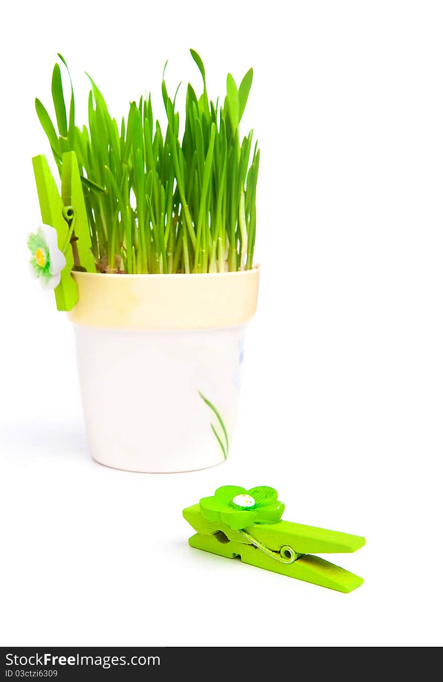 Flowerpot with green grass over white background