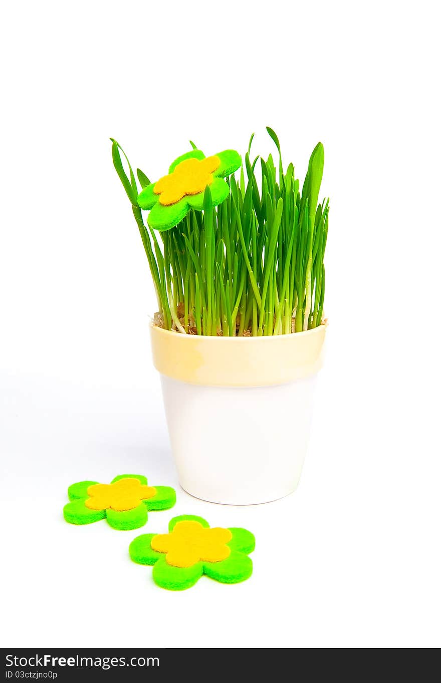 Flowerpot with green grass over white background