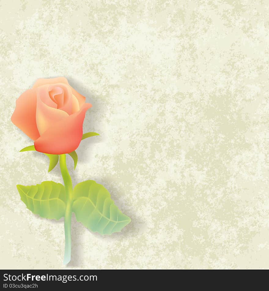 Abstract floral illustration with rose